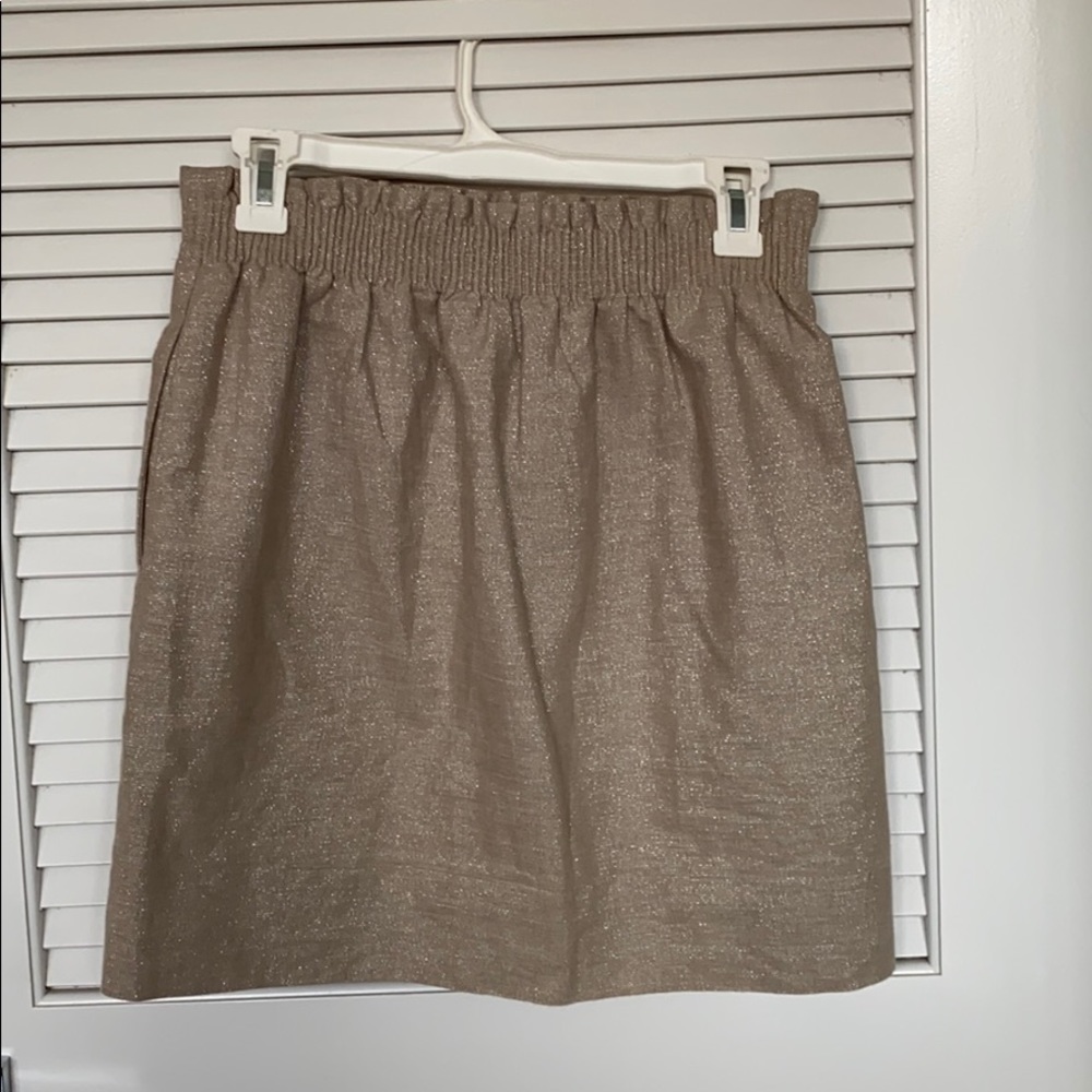 Jcrew Skirt